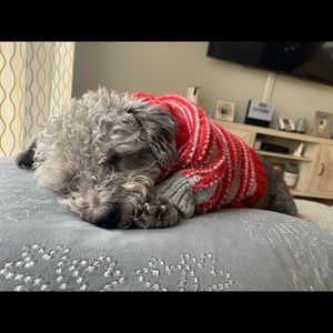 Meet your Posher, Marie